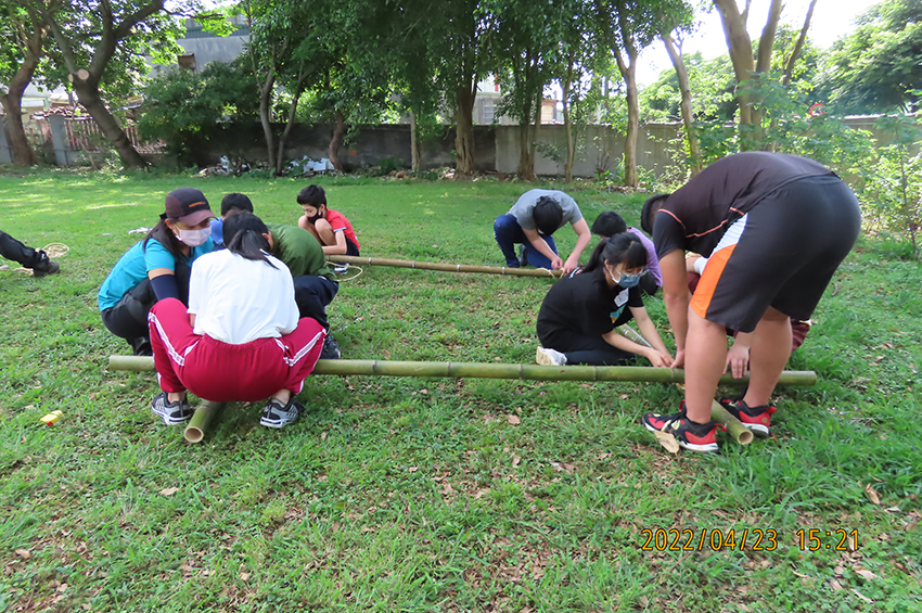 逐漸蓋出樹的基底